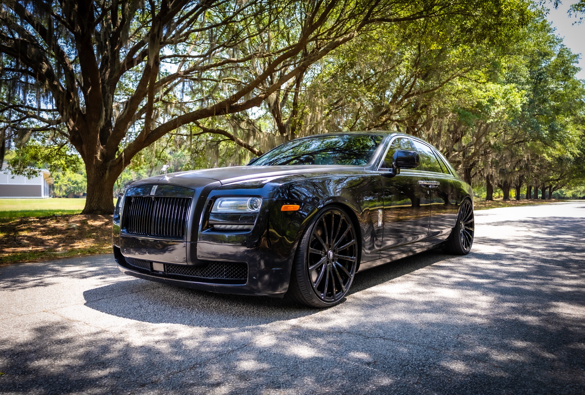 Rolls-Royce Ghost beneath the Spanish moss